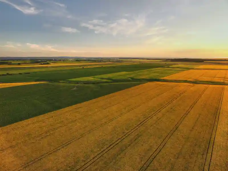 An Aerial view of rapeseed fields of property at sunset.