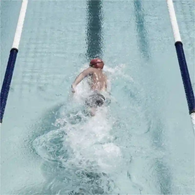 Person swimming laps in a swimming pool lane.